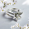 silver ajustable ring